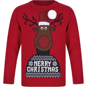 Christmas Reindeer Junior Christmas Jumper - Red