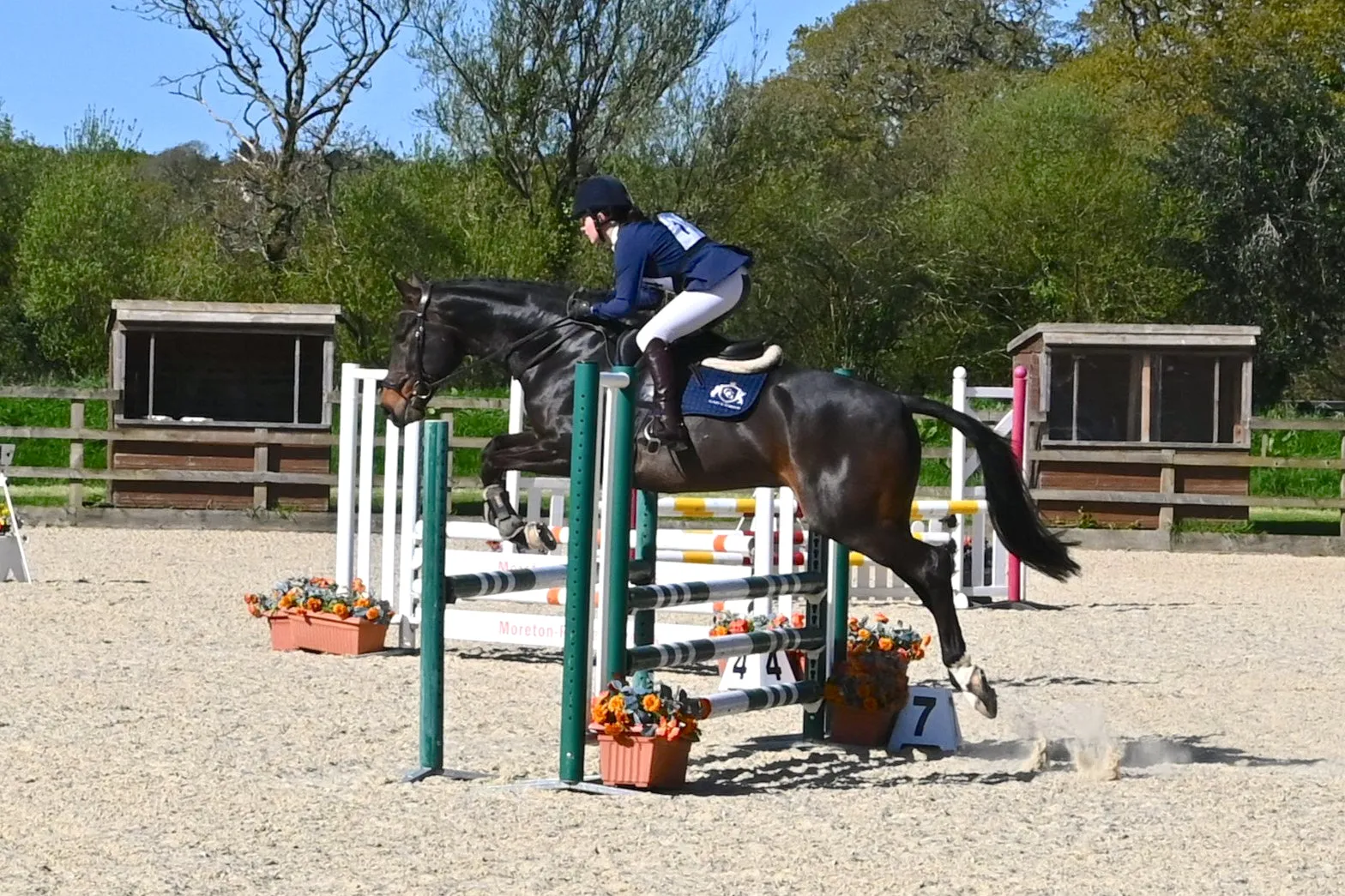 Glaze & Gordon Jumper Saddle Pad