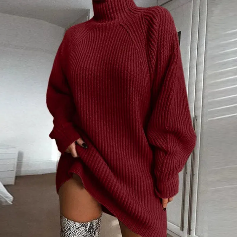 Long turtleneck jumper dress