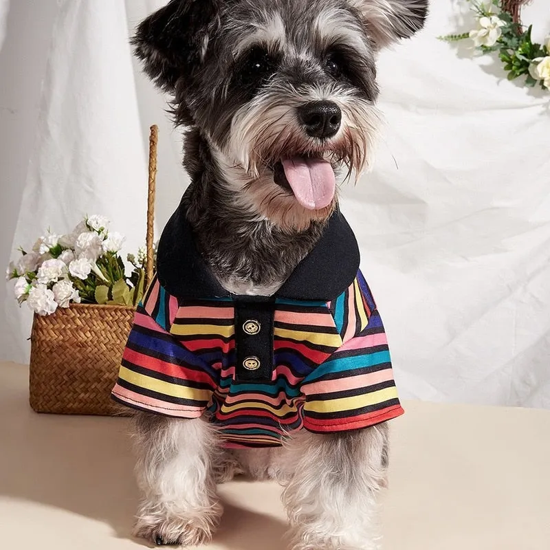 Rainbow Striped Dog Polo Shirt (Shop)