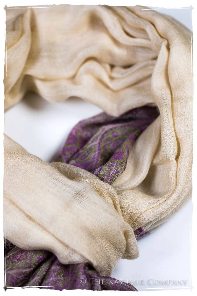 Ruqayya Paisley Frontière Pashmina Cashmere Scarf